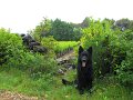 Onyx in La Roque-sur-Cèze (7)